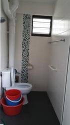 Blk 459 Tampines Street 42 (Tampines), HDB 4 Rooms #118196922